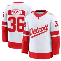 Men's John Gibson Detroit Red Wings 2025 Stadium Series Jersey - White Premium