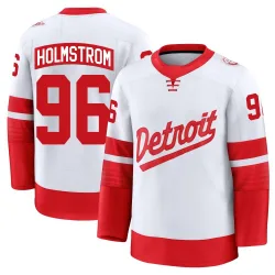 Men's Tomas Holmstrom Detroit Red Wings 2025 Stadium Series Jersey - White Premium