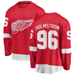 Men's Tomas Holmstrom Detroit Red Wings Home Jersey - Red Breakaway