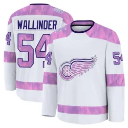 Men's William Wallinder Detroit Red Wings 2024 Hockey Fights Cancer Practice Jersey - White Premium
