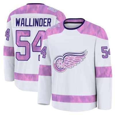 Men's William Wallinder Detroit Red Wings 2024 Hockey Fights Cancer Practice Jersey - White Premium