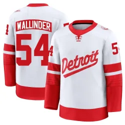 Men's William Wallinder Detroit Red Wings 2025 Stadium Series Jersey - White Premium