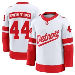Youth Axel Sandin-Pellikka Detroit Red Wings 2025 Stadium Series Jersey - White Premium