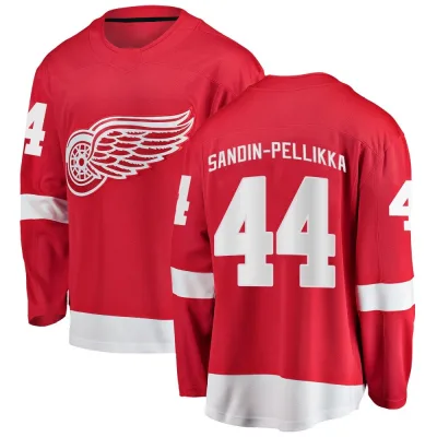 Youth Axel Sandin-Pellikka Detroit Red Wings Home Jersey - Red Breakaway