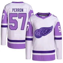 Youth David Perron Detroit Red Wings Hockey Fights Cancer Primegreen Jersey - White/Purple Authentic
